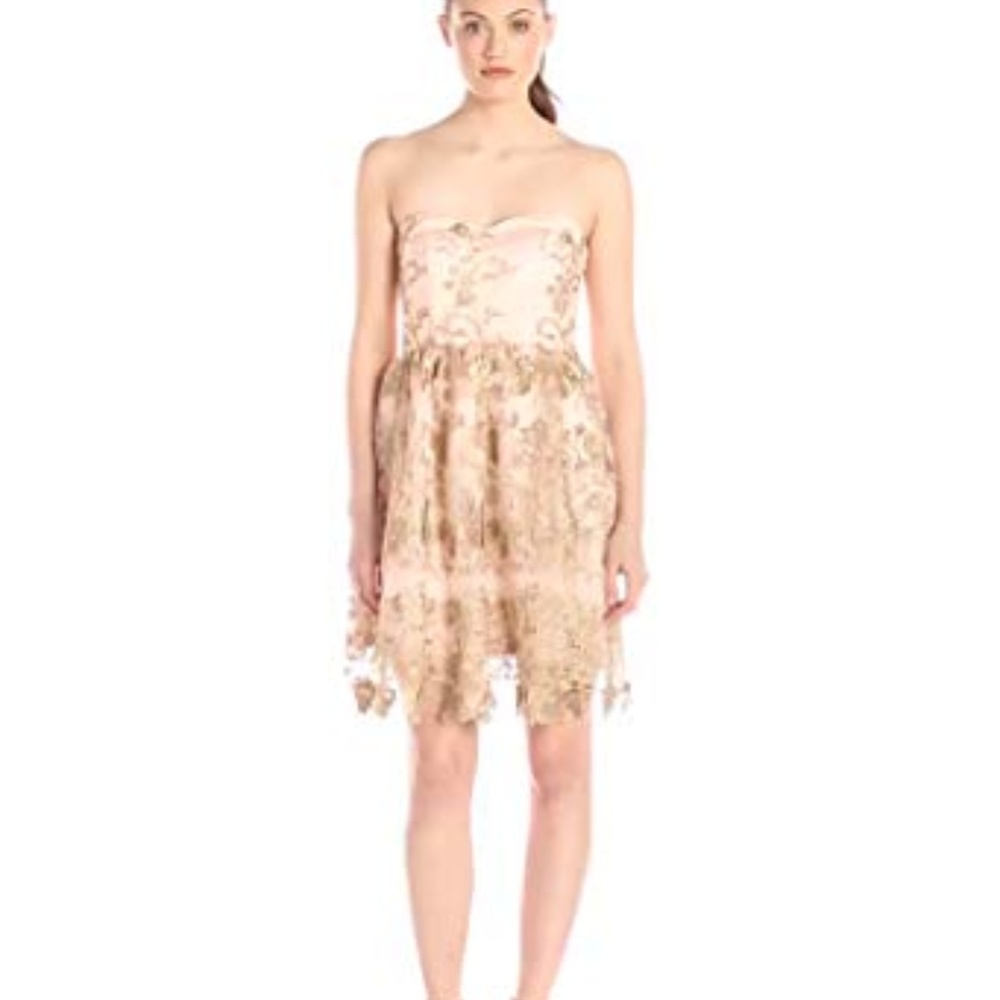 Minuet Women's Strapless Lace Overlay Dress, Pink,